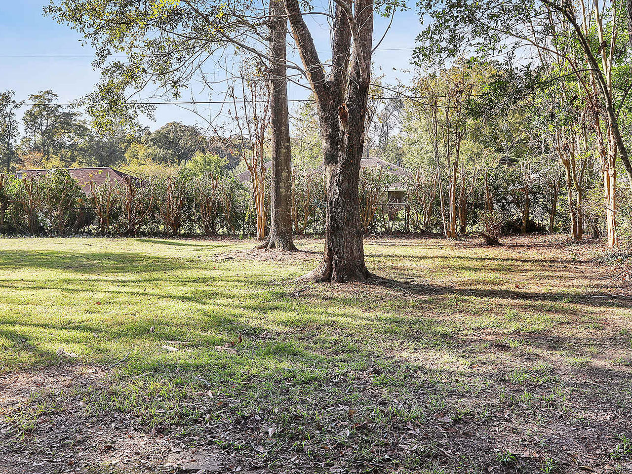 O 1151 Wylie Drive Baton Rouge LA 70808 Backyard Helene Kurtz